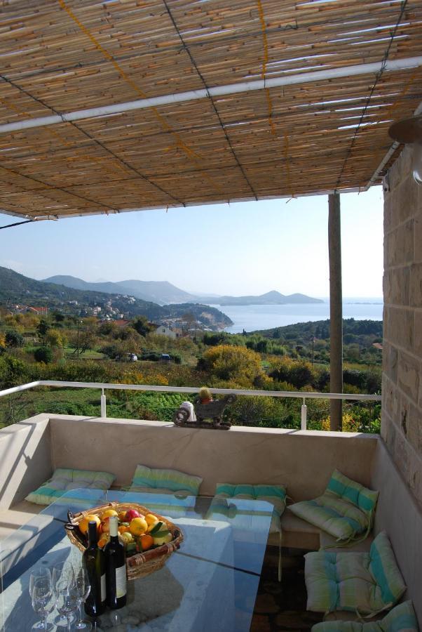 Villa Tony Orasac Bagian luar foto